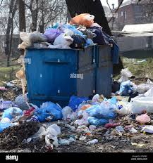 Best Recycling Services for Junk  in Haledon, NJ